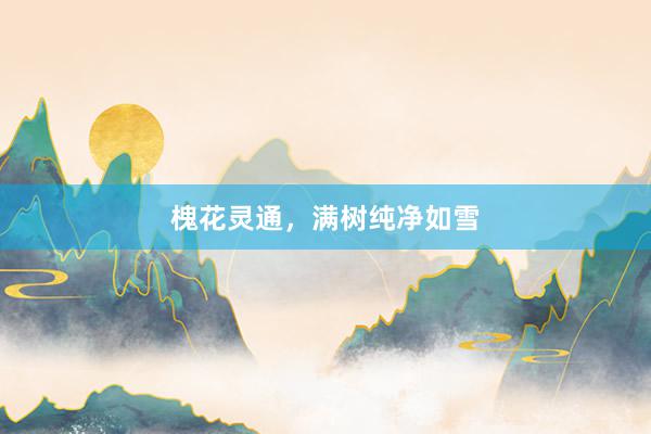槐花灵通，满树纯净如雪